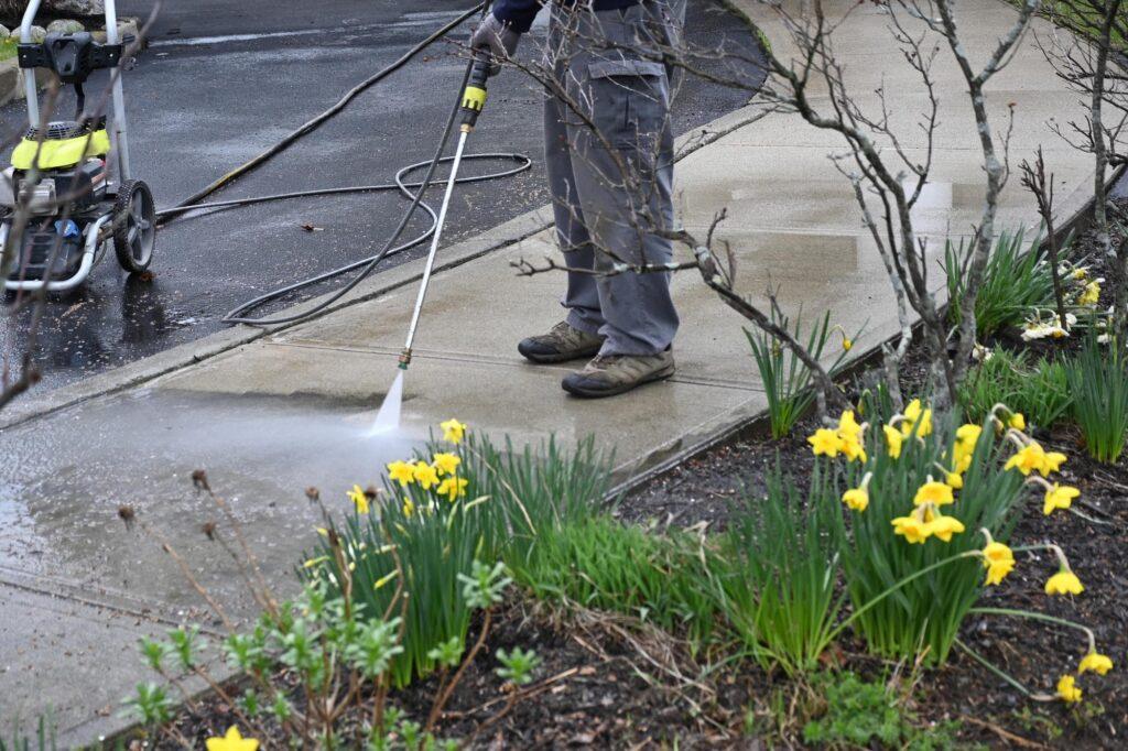 • Daily Shine Cleaning